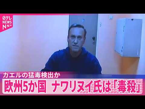 【ナワリヌイ氏】「毒殺されたと確信」欧州5か国が共同声明　ロシアに生息していないカエルの猛毒検出か サムネイル