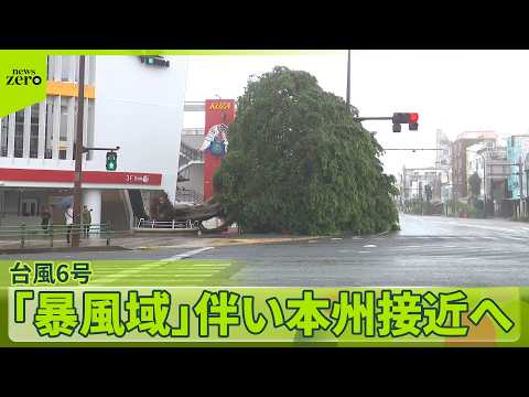 【台風6号】沖縄直撃、倒木や停電など被害相次ぐ　このあと「暴風域」伴い本州接近へ サムネイル