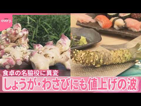 【食卓の名脇役】しょうが･わさびに異変が  高騰のワケ サムネイル