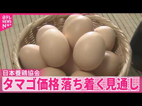 【タマゴ】夏ごろにはタマゴ価格落ち着く見通し  日本養鶏協会 サムネイル