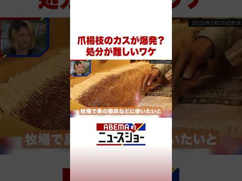 爪楊枝のカスが爆発？ 処分が難しいワケ ABEMA的ニュースショー Shorts サムネイル