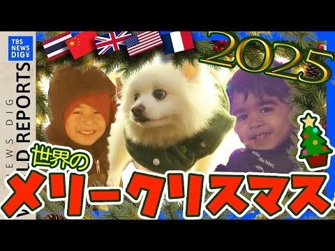 【ニューヨーク、パリ、ロンドン】撮れたて！世界のクリスマスをお届け【香港、バンコク、北京、ワシントン】｜TBS NEW… サムネイル