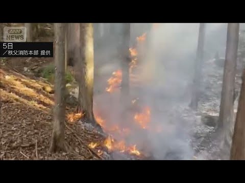 秩父の山火事4日目　延焼面積125haに拡大　雪でヘリの放水中止　鎮火めど立たず(2026年2月7日) サムネイル