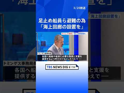 IMOで合意　ホルムズ海峡に「海上回廊」設置に向け取り組む　足止めの船舶と船員を避難のため｜TBS NEWS DIG… サムネイル