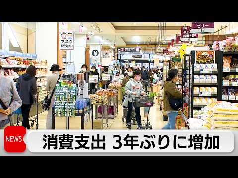 2025年の消費支出は0.9％増　プラスは3年ぶり　2月の消費支出は2.6％減少 サムネイル