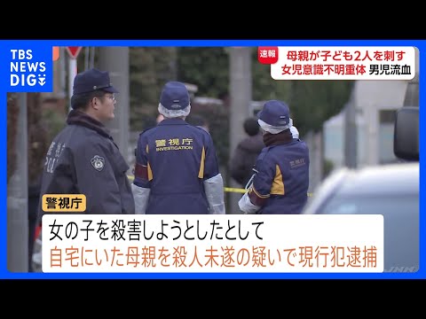 【速報】4歳ぐらいの娘刺したか　殺人未遂容疑で母親を現行犯逮捕　8歳ぐらいの息子も手にけが　「近所の男児が血だらけ 『… サムネイル