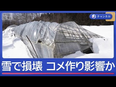 豪雪でコメ倉庫損壊　“コメ作り”ピンチ？【スーパーJチャンネル】(2026年2月17日) サムネイル