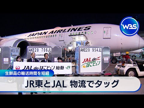 JR東とJAL 物流でタッグ 生鮮品の輸送時間を短縮【WBS】 サムネイル