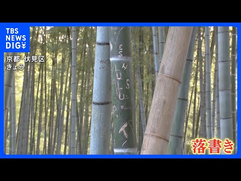 【「許せない」「悪質」】京都・伏見稲荷大社近くの竹林も落書き　去年の嵐山被害に続き…所有者も落胆の声｜TBS NEWS… サムネイル