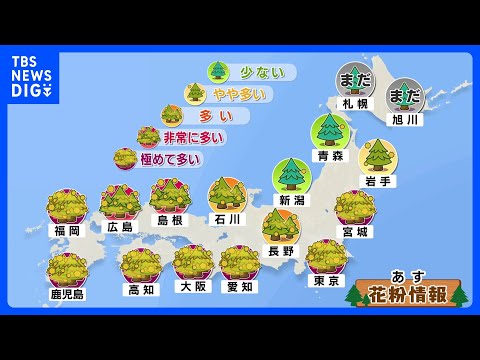 あす5日の花粉は？広く晴れて花粉「極めて多い」マスクなど花粉対策を 東日本・北日本中心に風が強い予報｜TBS NEWS… サムネイル