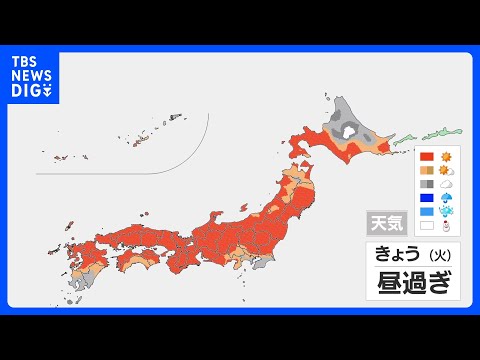 日中は広い範囲で晴れ　さくらの開花促す暖かさ　夜は関東でにわか雨の可能性も　あすは西から雨雲広がる｜TBS NEWS… サムネイル