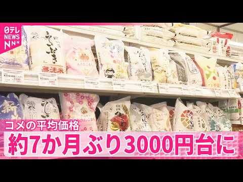 【コメの平均価格】専門家は“価格が暴落する可能性”指摘  約7か月ぶり3000円台に サムネイル