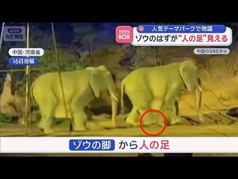 ゾウのはずが“人の足”見える　人気テーマパークで物議　中国【スーパーJチャンネル】(2026年4月29日) サムネイル