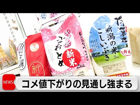 向こう3カ月のコメ価格見通し　新米価格　値下りが続くとの見通し強まる サムネイル