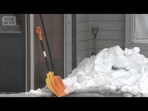 雪に埋もれ70代女性死亡 落雪に巻き込まれたか　青森・つがる市(2026年2月10日) サムネイル
