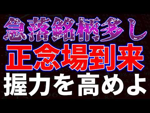 急落銘柄多し！正念場到来。握力を高めよ サムネイル
