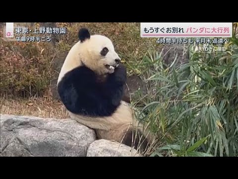 “中国客激減”データで如実に…依存度トップの県では景色が様変わり【サタデーステーション】(2025年12月20日) サムネイル