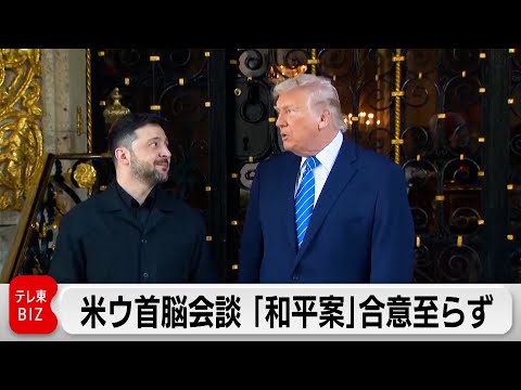 米ウクライナ首脳会談 和平案について協議も合意には至らず サムネイル