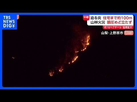 山林火災延焼続く 迫る炎 住宅まで約100m 鎮圧めど立たず 消火を阻む「2つの壁」とは　山梨・上野原市｜TBS NE… サムネイル
