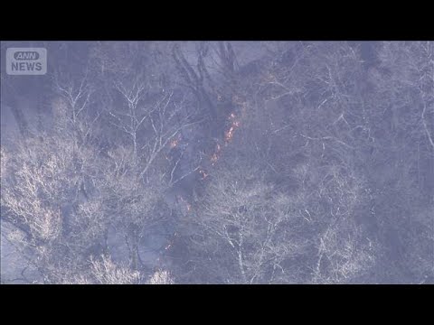 山火事発生から1日超　いまだ鎮火めど立たず　群馬・藤岡市(2026年1月26日) サムネイル