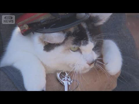 「3代目猫駅長」が就任 和歌山電鉄【スーパーJチャンネル】(2026年1月7日) サムネイル