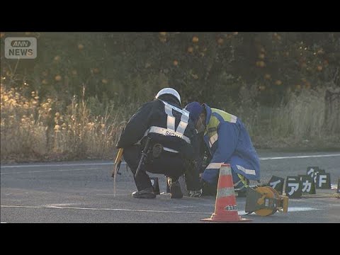 死亡ひき逃げ事件で28歳男逮捕　「事故は起こしていないし逃げていない」容疑否認(2025年12月28日) サムネイル
