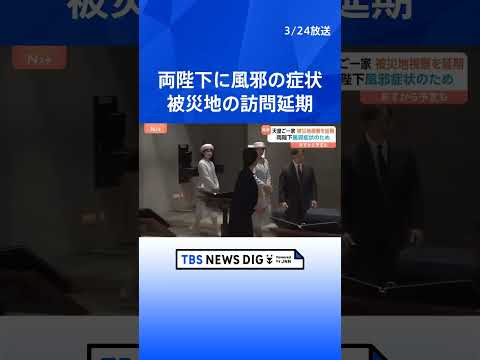 天皇ご一家　東日本大震災の被災地 岩手県と宮城県の訪問延期　両陛下に風邪の症状｜TBS NEWS DIG サムネイル