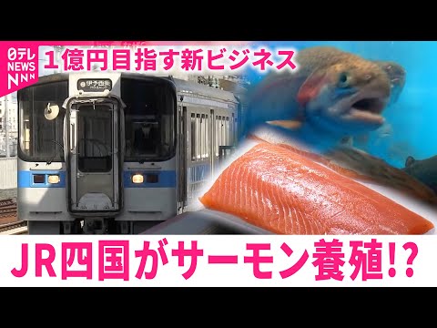 【新事業】名水で育む美味いサーモン！JR四国が陸上養殖に挑戦　愛媛　NNNセレクション サムネイル