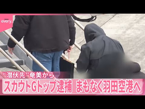 【違法スカウトグループ】トップの男逮捕　“潜伏先”奄美からまもなく羽田空港へ サムネイル