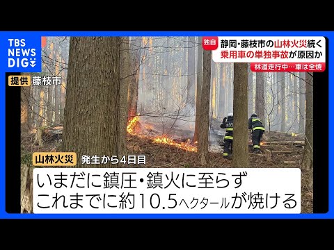 静岡・藤枝市の山林火災　現場から全焼した乗用車1台見つかる この車の単独事故による出火が原因で山林に燃え移ったか　火災… サムネイル