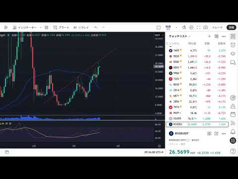 株価 BTC 大暴落の地獄へ？！日本株 米国株 BTC ゴールド見ながら配信！ サムネイル