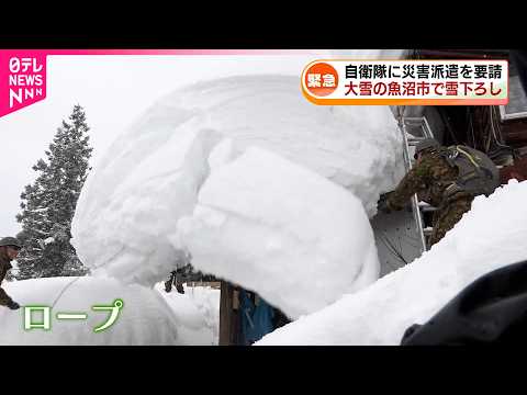 【大雪】災害派遣で自衛隊が除雪作業 家屋倒壊の恐れも　新潟　NNNセレクション サムネイル