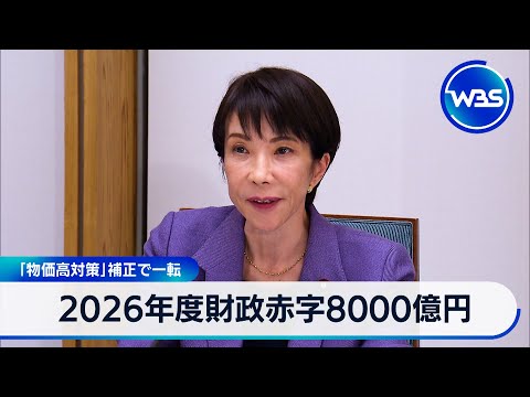 2026年度財政赤字8000億円 「物価高対策」補正で一転【WBS】 サムネイル
