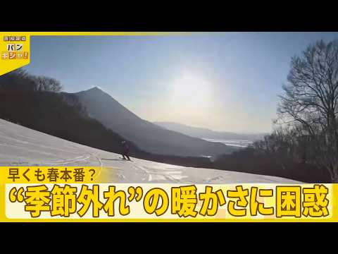 【困惑】早くも春本番？　列島異例の暖かさ  2月に20℃超も…“季節外れ” の暖かさに困惑『バンキシャ！』 サムネイル