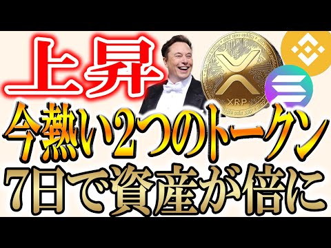 【バブル継続】イーロンマスクがAIに投資してクリプト爆上げ！【ビットコイン/イーサリアム/リップル】 サムネイル