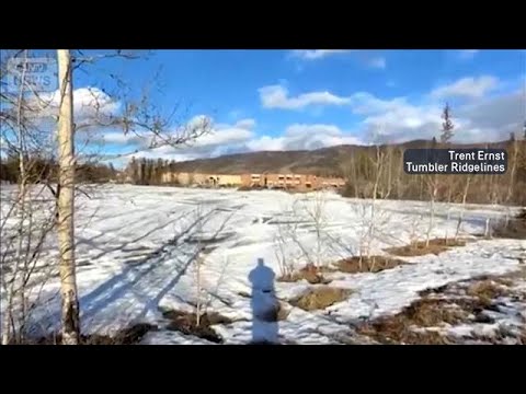 カナダの学校で銃撃　9人死亡　警報に「銃撃犯は茶色い髪でドレスの女」【スーパーJチャンネル】(2026年2月11日) サムネイル