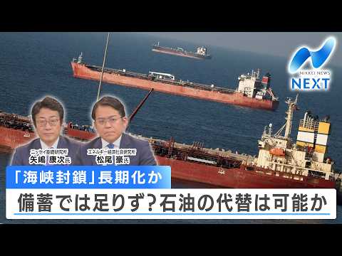 「海峡封鎖」長期化か 備蓄では足りず？石油の代替は可能か【NIKKEI NEWS NEXT】 サムネイル