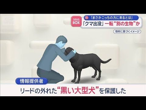 「クマ出没」一転“別の生物”か　「まさかこっちの方に来るとは」【スーパーJチャンネル】(2026年3月27日) サムネイル