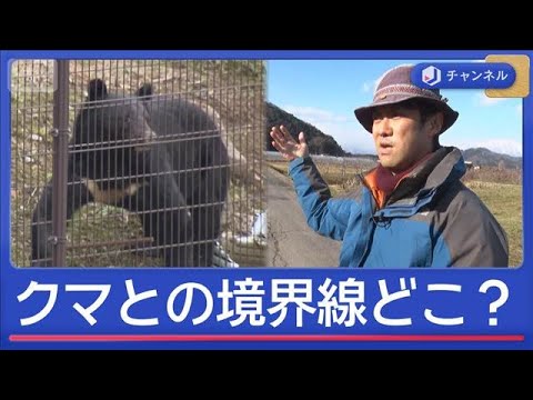 長年研究の専門家が感じた“クマの異変”【スーパーJチャンネル】(2025年12月24日) サムネイル