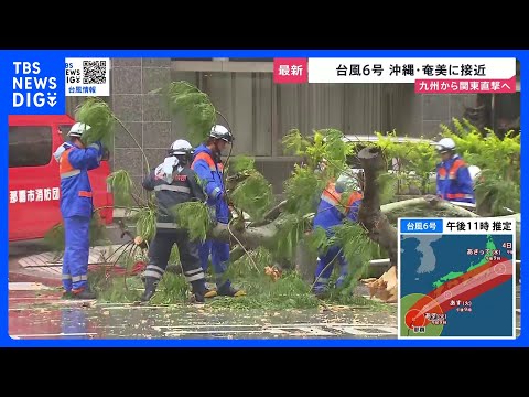 台風6号が九州から関東を直撃へ　奄美や九州南部では線状降水帯のおそれも…今後の進路・勢力は？【news23】｜TBS… サムネイル