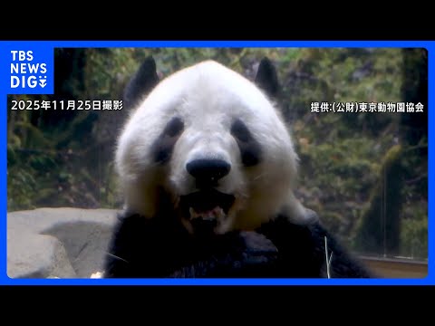 もうすぐ「お別れ」上野の双子パンダ「シャオシャオ」「レイレイ」　返還発表からはじめての週末は早朝から大行列　来週からは… サムネイル