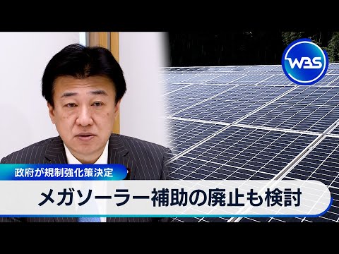 メガソーラー補助の廃止も検討　政府が規制強化策決定【WBS】 サムネイル
