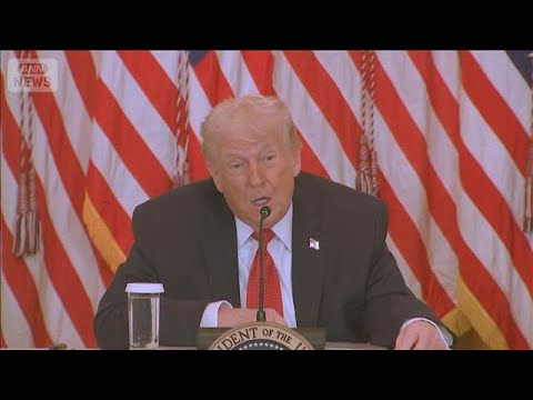 トランプ氏 グリーンランドめぐり追加関税　欧州8カ国は共同声明で反論(2026年1月19日) サムネイル