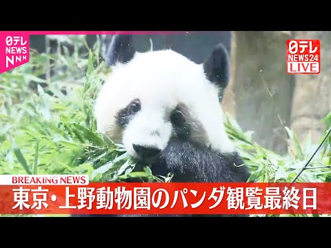 【速報】上野動物園のパンダ　観覧最終日　27日の旅立ち前に サムネイル