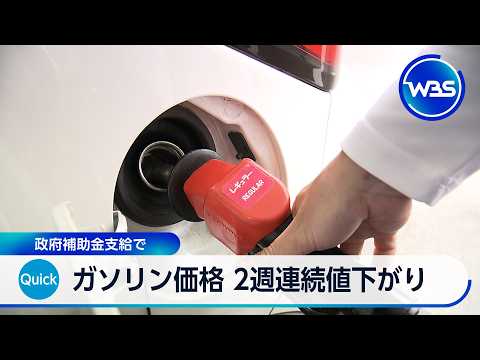 ガソリン価格 2週連続値下がり 政府補助金支給で【WBS】 サムネイル