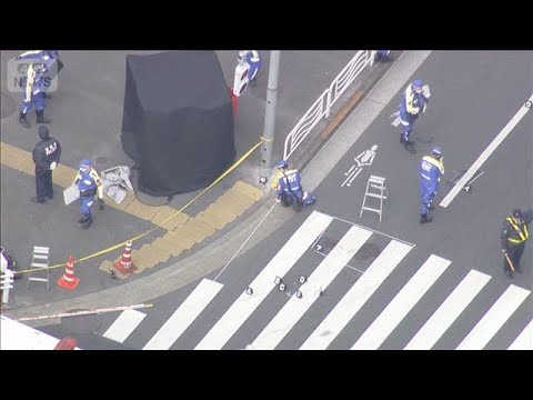 東京・江東区の死亡ひき逃げ事件でダンプカー運転手の男（73）を逮捕　警視庁(2026年1月29日) サムネイル