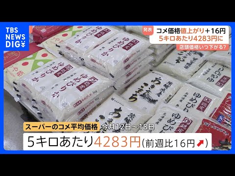 コメ平均価格4283円　前週より16円値上がり　高止まり続く｜TBS NEWS DIG サムネイル