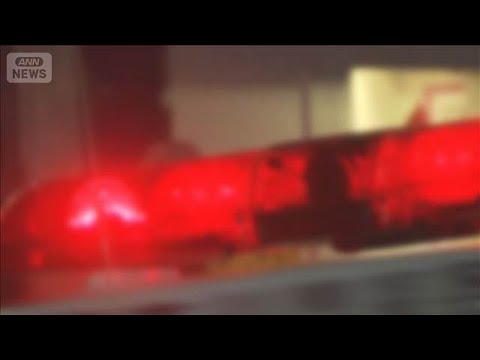 埼玉・元飯能市長を受託収賄容疑で逮捕　土地開発の便宜図り現金500万円受け取ったか(2026年2月19日) サムネイル