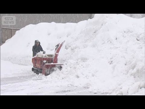 “災害級”大雪の恐れ…関東でも降雪　今季“最強最長”寒波ピークに【報道ステーション】(2026年1月21日) サムネイル