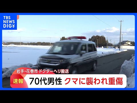 70代男性クマに襲われ重傷　ドクターヘリで搬送　頭や顔にけが　花火などで追い払い中に襲われたか　岩手・花巻市｜TBS… サムネイル
